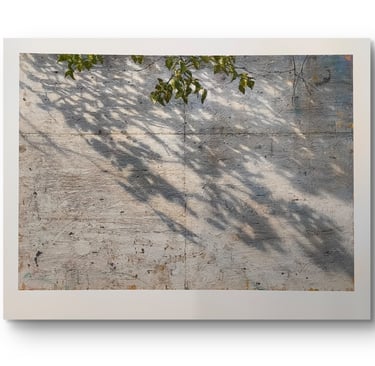 COSMOGRAFIA 50 X 65