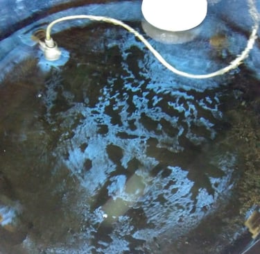 limpeza de caixa de água