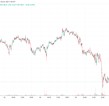 a chart showing the price of a stock market