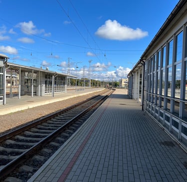 GELEŽINKELIŲ TRANSPORTO SAUGOS VALDYMAS