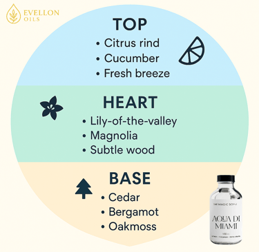 the magic scent aqua di miami scent profile and notes