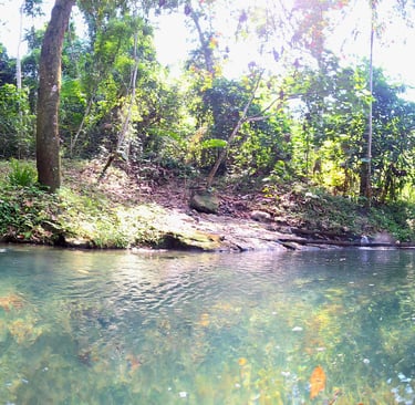 Heiße Quellen im Regenwald