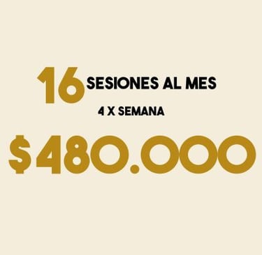 Precio de 16 Sesiones al mes por $480.000