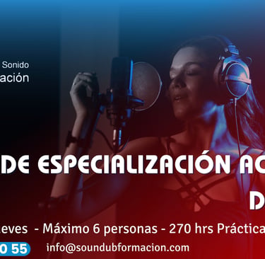 Curso anual de doblaje