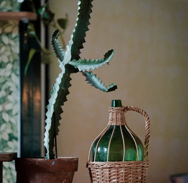 a cactus plant in a wicker basket with a green bottle