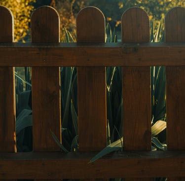 Brown picket fence with tall green plants behind - Photo by Lucian Cornea (Pexels.com)