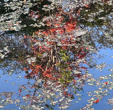 psichologine savaitgalio programa sustoti buti ir pamatyti vidinis aiskumas