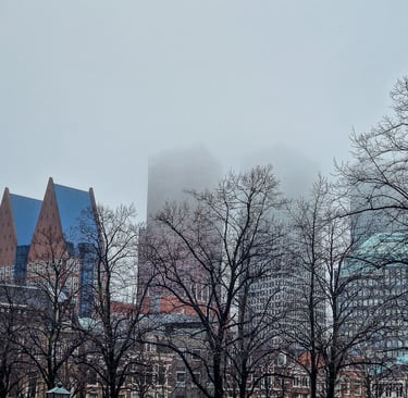 City travel guides