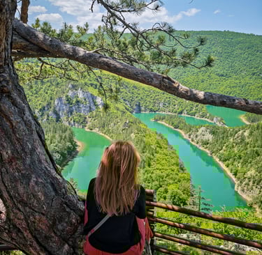 Meandri Cehotina viewpoint