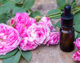 germanium rose essential oil