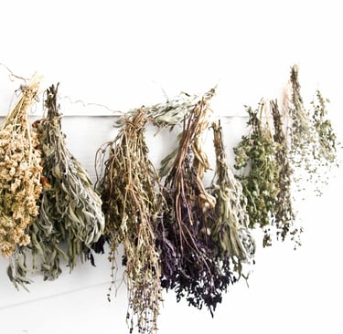 dried herbs for herbal rinse