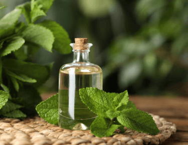 peppermint essential oil