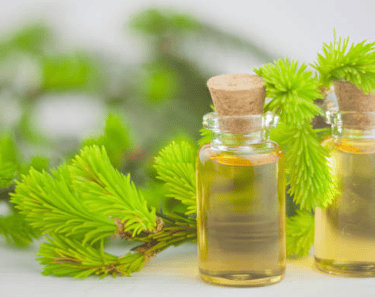 tea tree essential oil