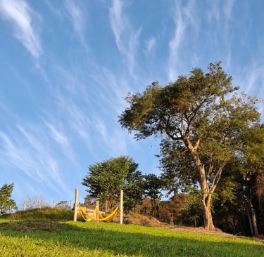 Fim de tarde com céu azul e nuvens riscadas