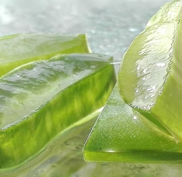 Aloe Vera gel