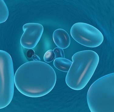 Blood Cells