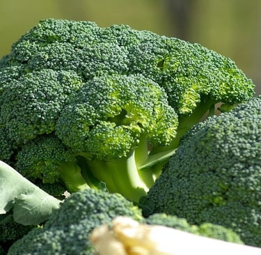 Broccoli