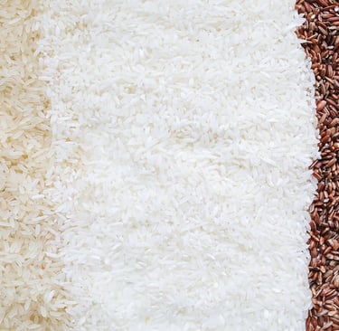 Different types of Rice