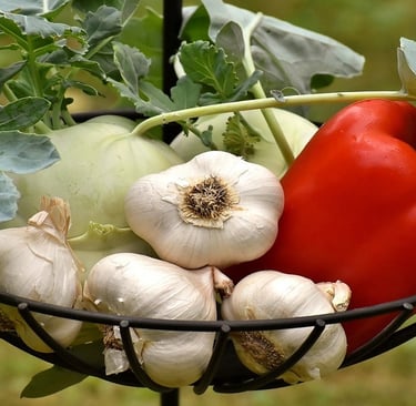 Garlic and Red pepper