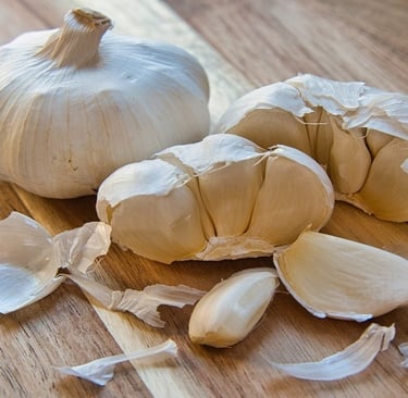 Garlic on the table