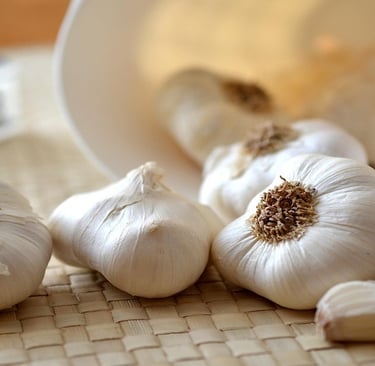 Garlic