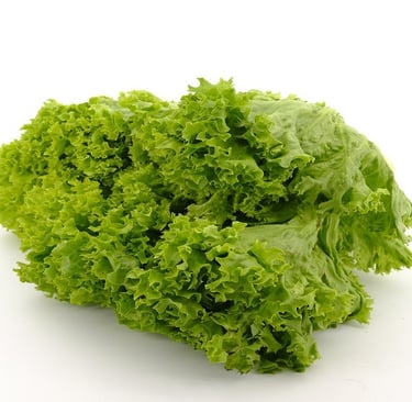 Lettuce