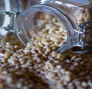Healthy Spelt Grain