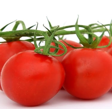 Tomatoes