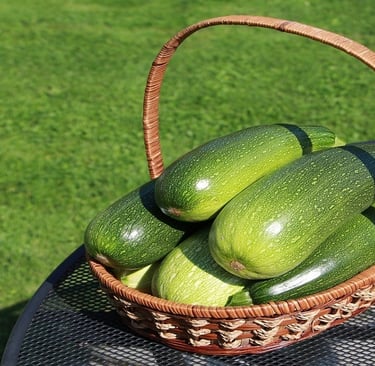 Zucchini