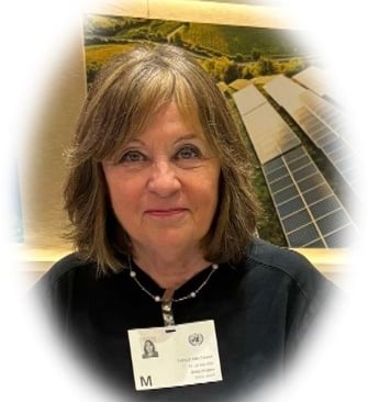 María Teresa Vergara, Secretaria de AFICS Chile