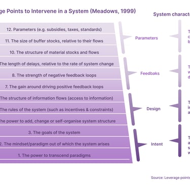 Meadows Leverage Points for Interventions