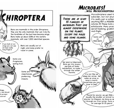2 page spread from "Bats! Volume 1"