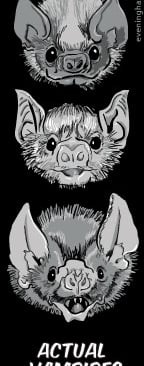 Vampire Bat sicker with text "Actual Vampires"