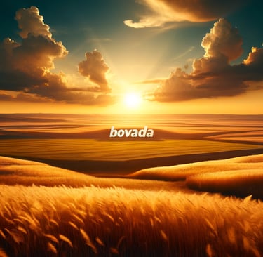 Serene Kansas plains at golden hour symbolize Bovada's diverse betting opportunities.