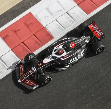 Estebanas Oconas Haas Formulė-1