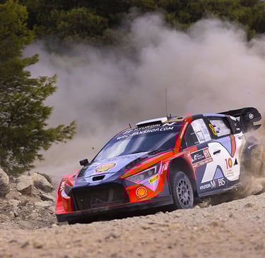 Ottas Tanakas Hyundai WRC ralis