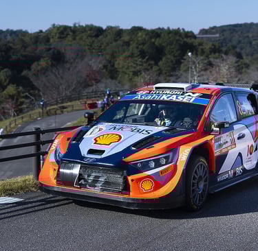 Ottas Tanakas Hyundai WRC ralis
