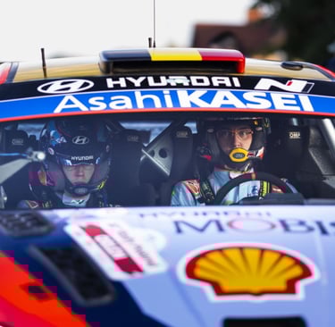 Thierry Neuville'is