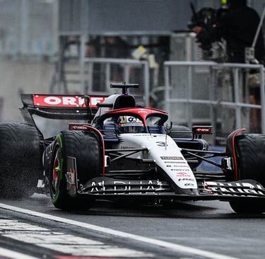 Danielis Ricciardo AlphaTauri Formulė-1