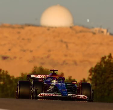 Danielis Ricciardo Formulė-1