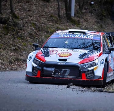Ottas Tanakas Hyundai WRC
