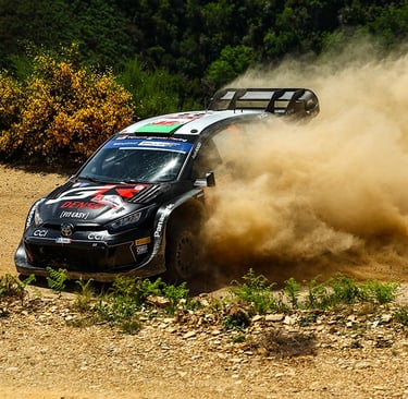 Elfynas Evansas WRC Ralis Toyota
