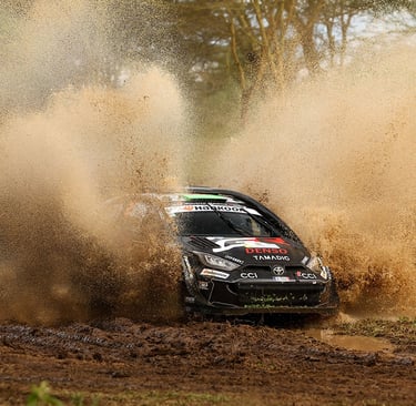 Elfynas Evansas Toyota