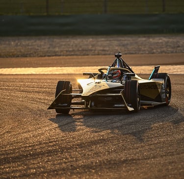 Jeanas-Ericas Vergne'as Formulė-E