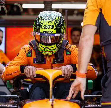 Lando Norrisas