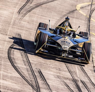 Robertas Shwartzmanas Penske Formulė E