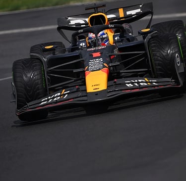 Maxas Verstappenas Red Bull