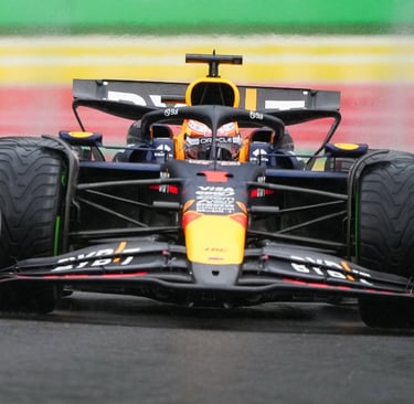 Maxas Verstappenas Red Bull