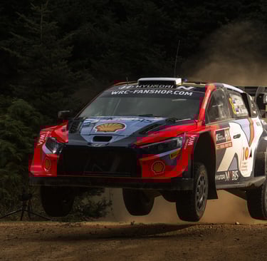 Ottas Tanakas Hyundai WRC ralis