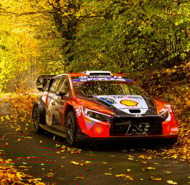 Ottas Tanakas Hyundai WRC ralis